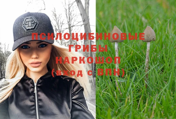 кокаин Алексеевка