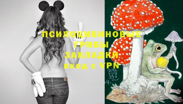 герыч Алзамай