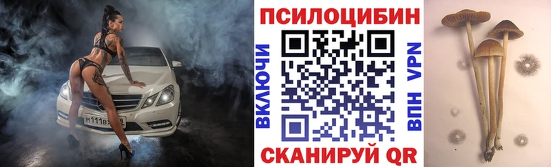 Галлюциногенные грибы Magic Shrooms  Бирюч 